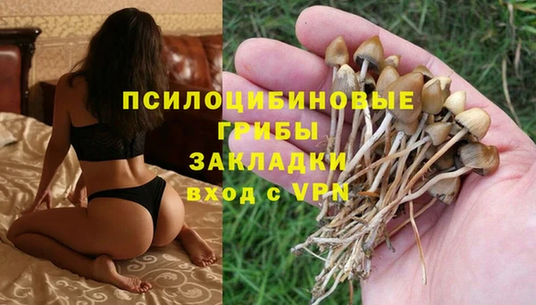 PSILOCYBIN Заволжье