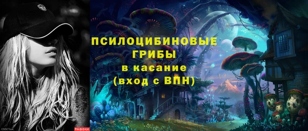 PSILOCYBIN Заволжье
