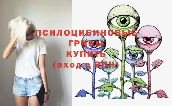 МДМА Заволжск