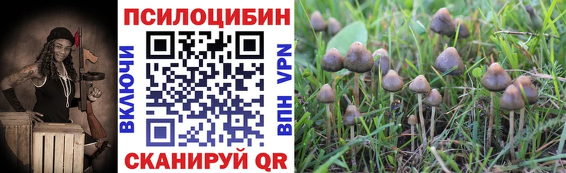 Псилоцибиновые грибы GOLDEN TEACHER  Купить закладки  Красноуфимск 