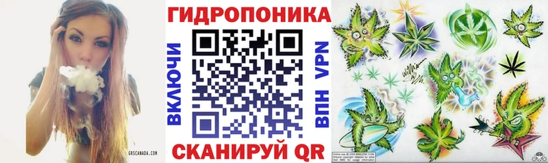 Бошки марихуана Amnesia  Купить где  Красноуфимск 